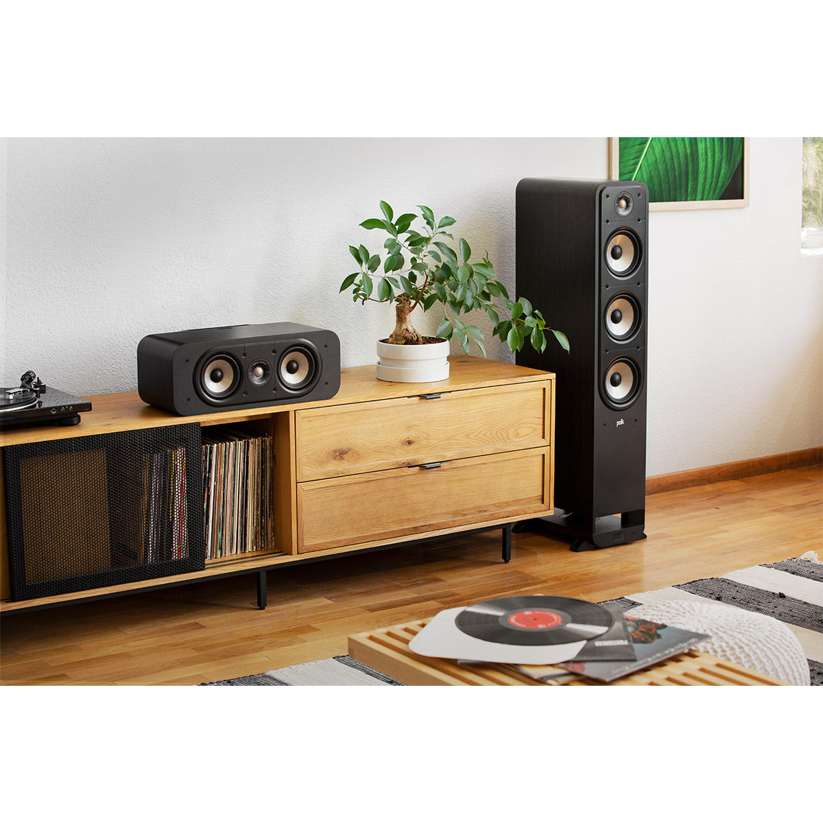 Polk Audio Signature Elite ES30 Center Channel Speaker Cable Bundle (Black)