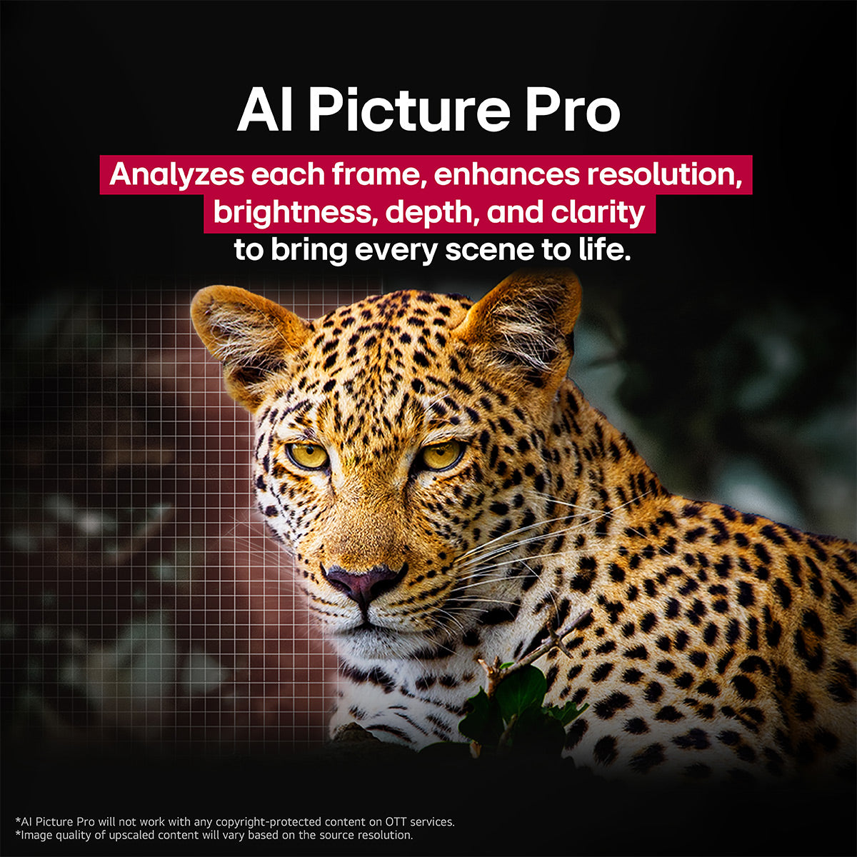 LG OLED83G5WUA 83 Inch 4K OLED evo G5 Smart TV with AudioQuest SKY 3m HDMI Cable