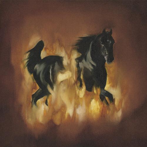 The Besnard Lakes Are The Dark Horse - Vinyl LP