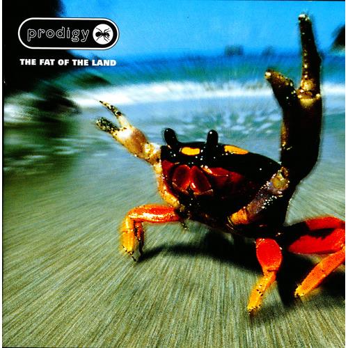 The Fat Of The Land - Vinyl LP