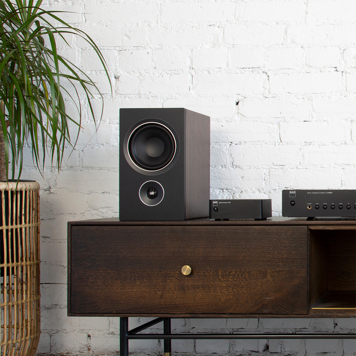 NAD Electronics CS1 Endpoint Bluetooth Network Streamer