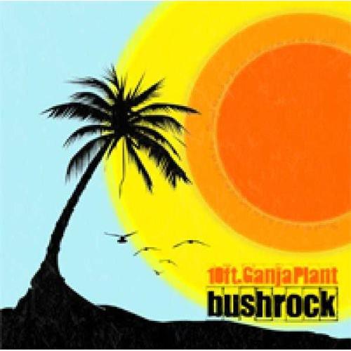 Bush Rock - Vinyl LP