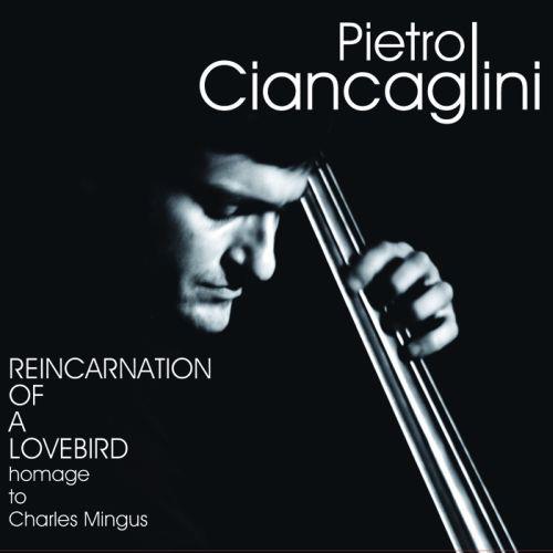 Reincarnation of a Lovebird - Vinyl LP