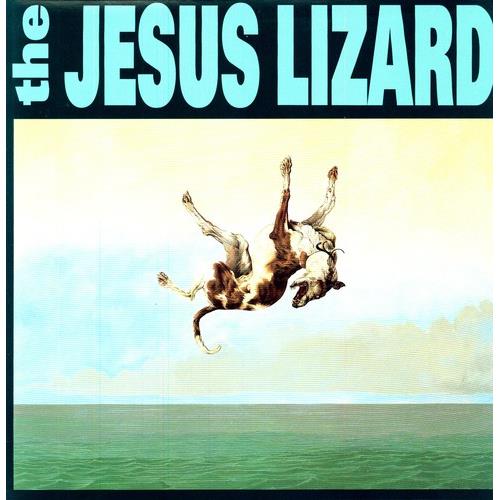 Vinyl LP cover featuring a dog falling through the air above a green ocean
