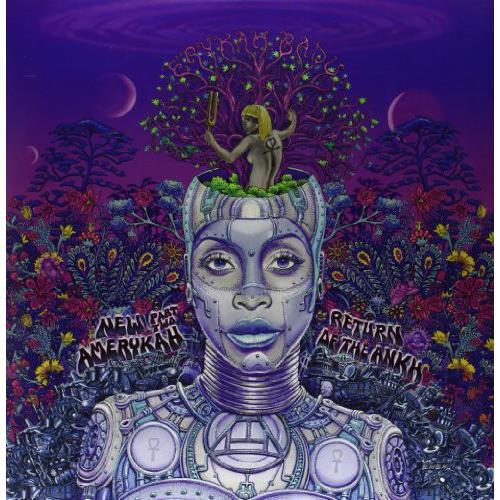New Amerykah Part Two: Return of the Ankh - Vinyl LP
