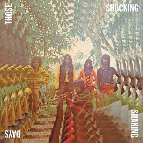 Those Shocking Shaking Days - Vinyl LP