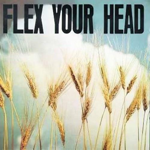 Flex Your Head - Vinyl LP