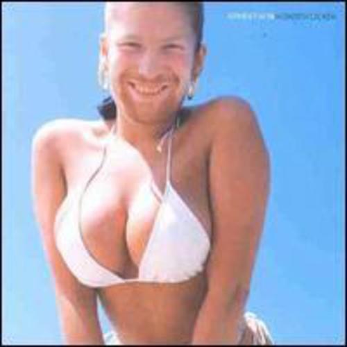 Windowlicker - Vinyl LP