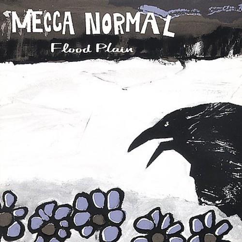 Flood Plain - Vinyl LP