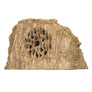 Sandstone