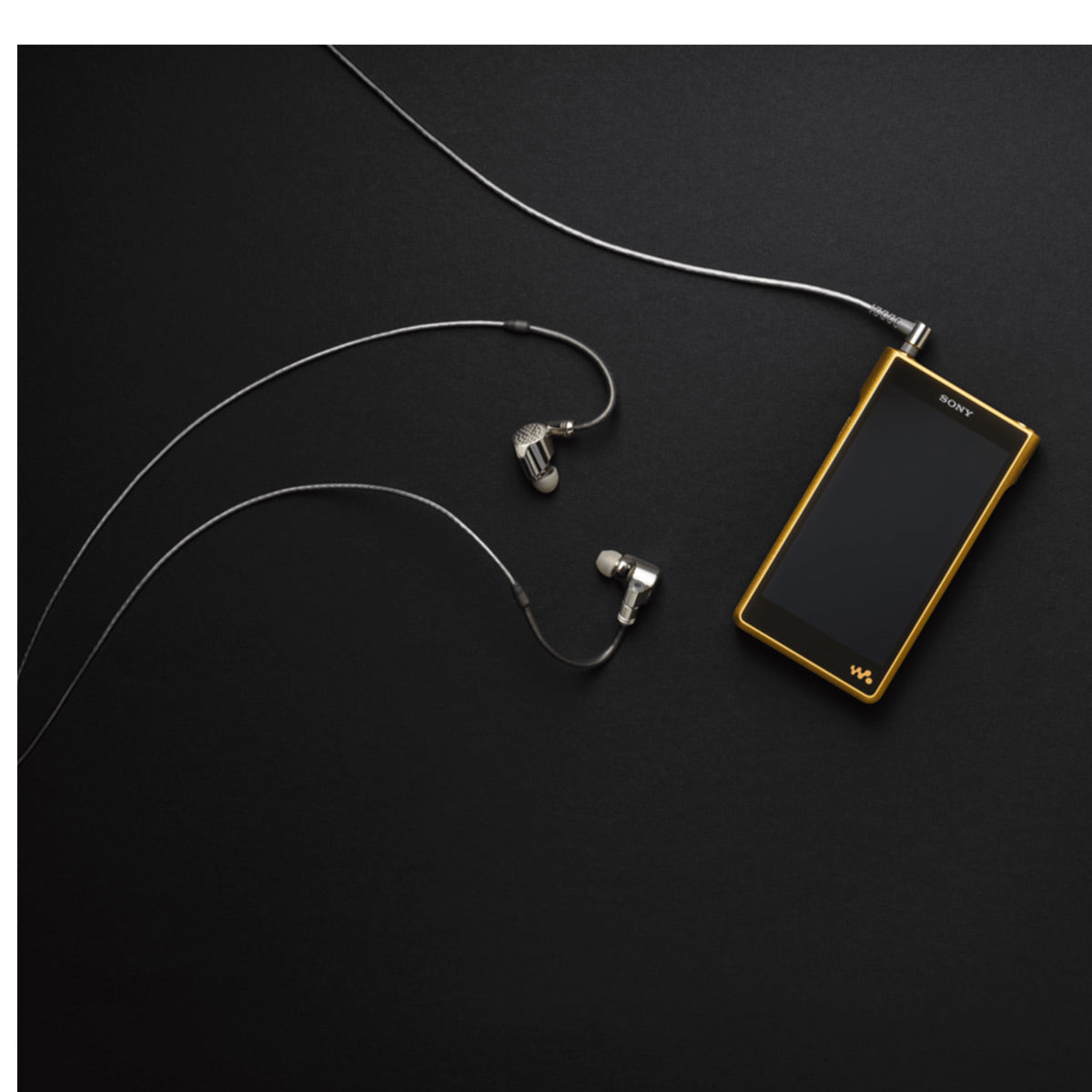 Sony NW-WM1ZM2 256GB Signature Series Premium Digital Music Player