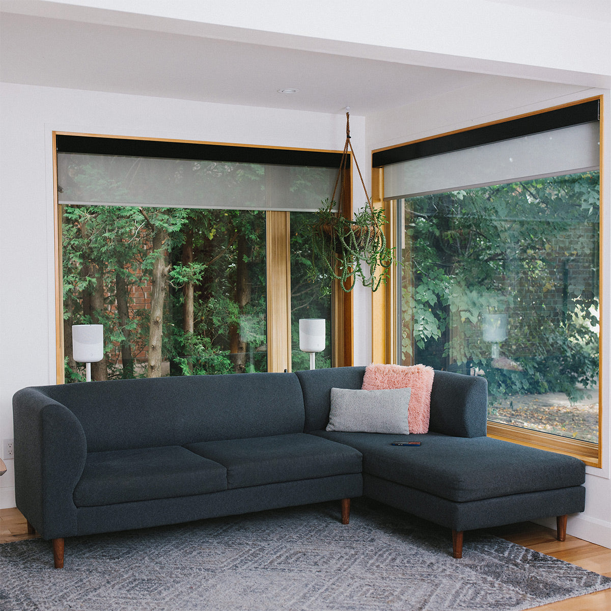 Bluesound PULSE M Compact Wireless Multi-Room Music Streaming Speaker (White)