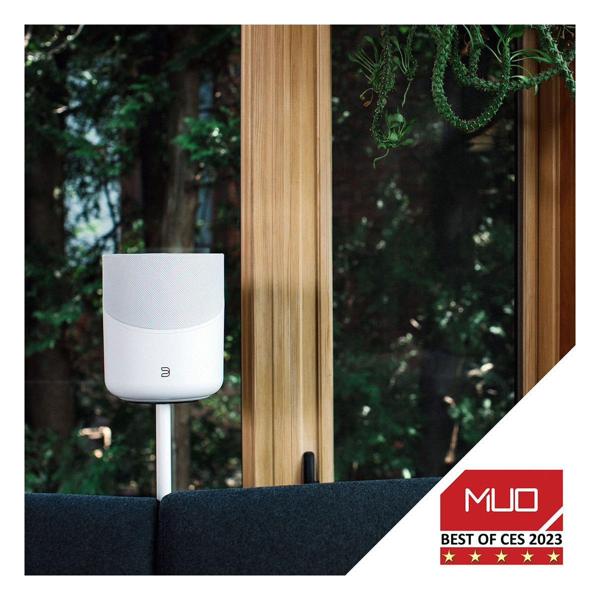 Bluesound PULSE M Compact Wireless Multi-Room Music Streaming Speaker (White)