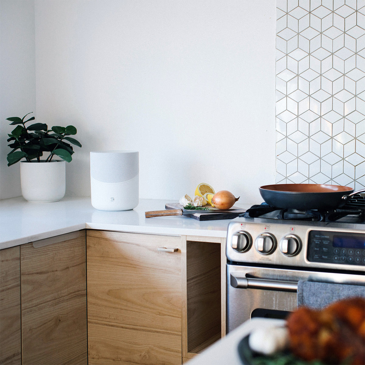 Bluesound PULSE M Compact Wireless Multi-Room Music Streaming Speaker (White)