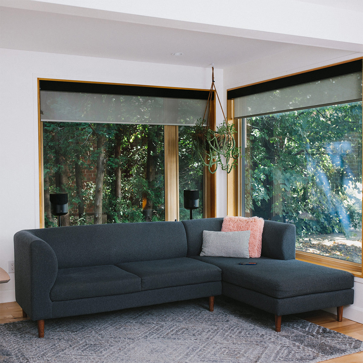 Bluesound PULSE M Compact Wireless Multi-Room Music Streaming Speaker (Black)