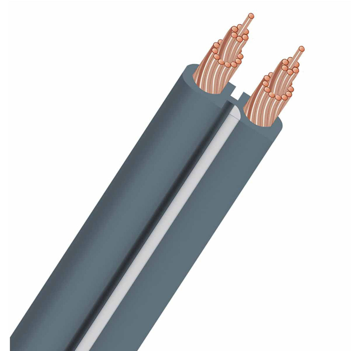 AudioQuest X2 Unterminated Gray Speaker Cable - 30 ft. (9.14m)