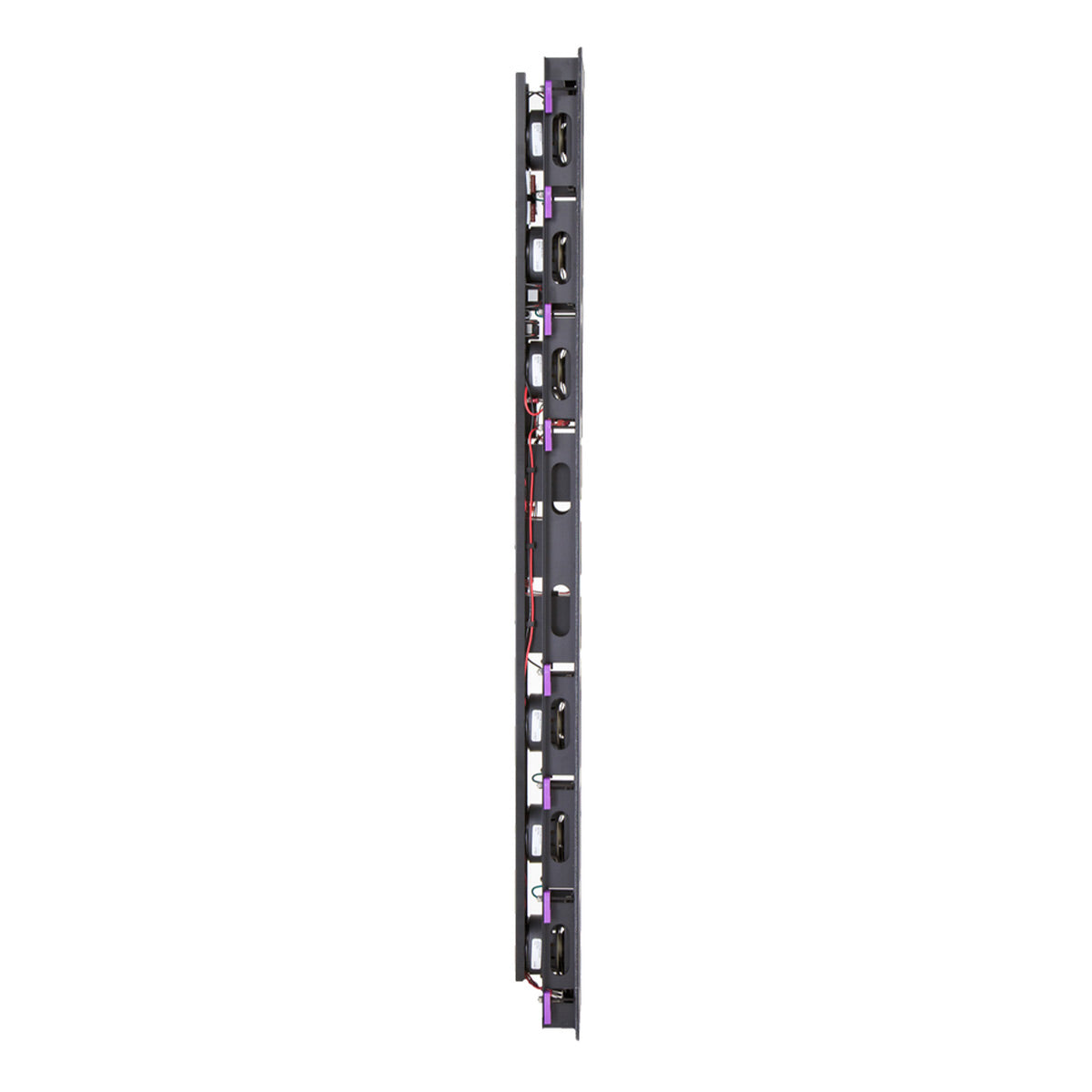 Wisdom Audio P6i Point Source In-Wall Loudspeaker