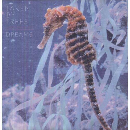 Dreams - 12-Inch Single