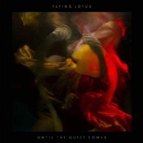 Until the Quiet Comes - Vinyl LP