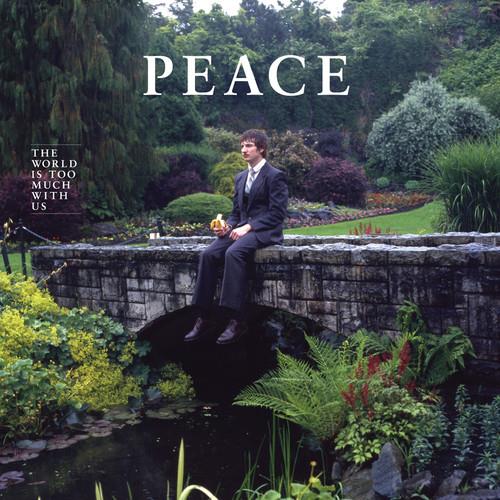 The World Is Too Much With Us - Vinyl LP