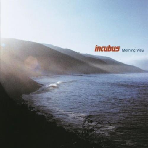 Morning View - Vinyl LP