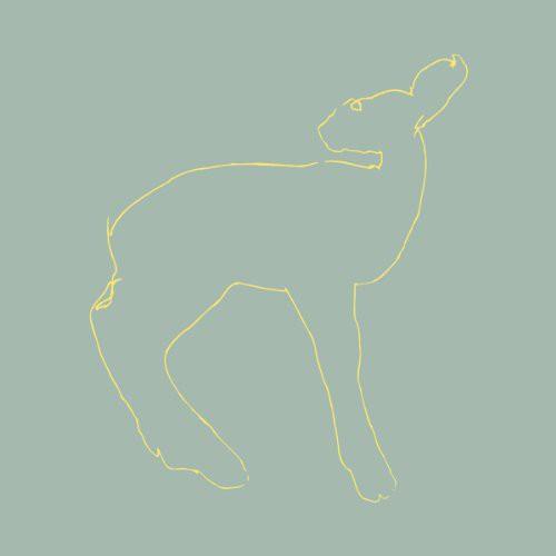 Muted green vinyl sleeve with a yellow line drawing of a standing animal
