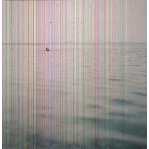 Swim - Vinyl LP (Blue)