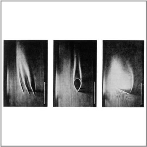 Passion Plays - 7-Inch Single 180 Gram