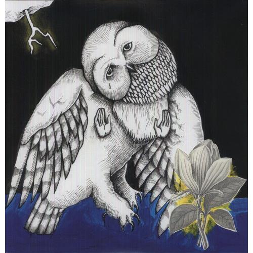 Magnolia Electric Company Co - Deluxe Edition Vinyl LP