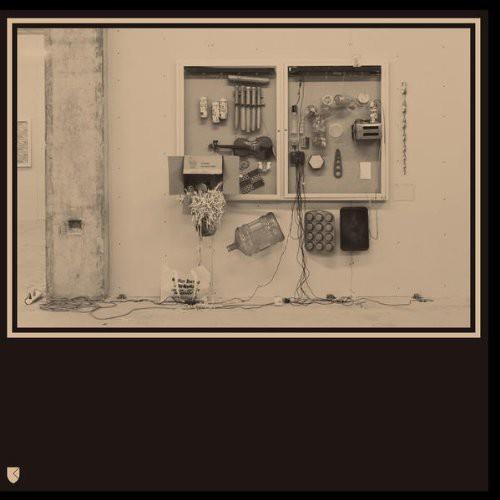 Fits & Starts - Vinyl LP