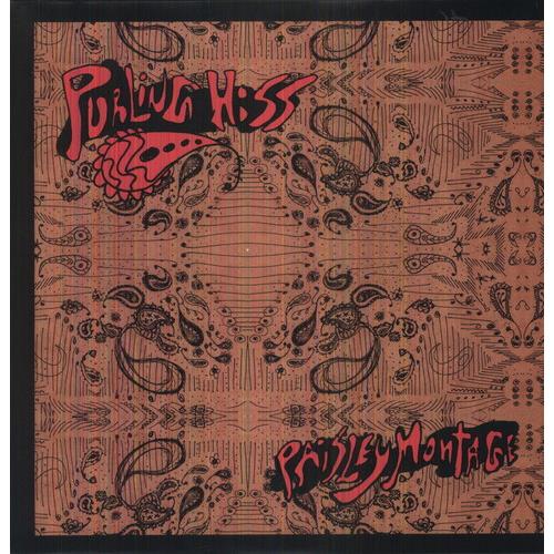 Paisley Montage - Vinyl LP