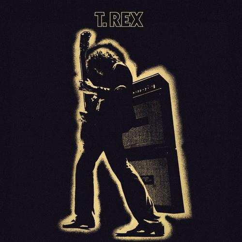 Electric Warrior + 2014 - Vinyl LP