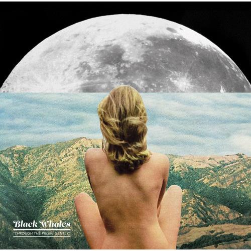 Through the Prism Gently - Vinyl LP