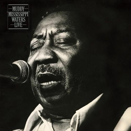 Muddy 'Mississippi' Waters-Live - Vinyl LP