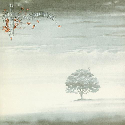 Wind & Wuthering - Vinyl LP 180 Gram