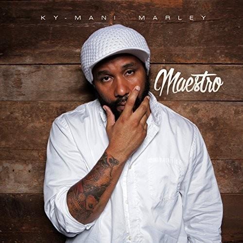 Maestro - Vinyl LP