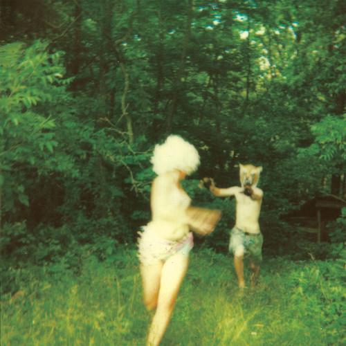 Harmlessness - Vinyl LP