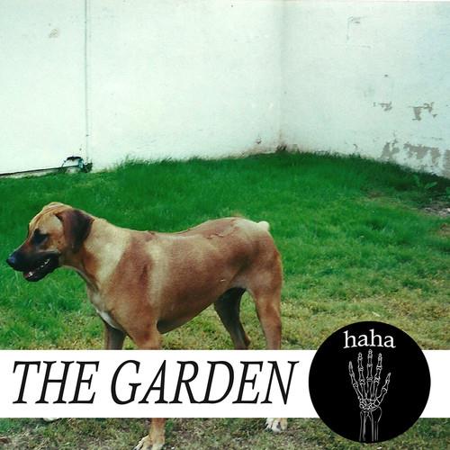 haha - Vinyl LP