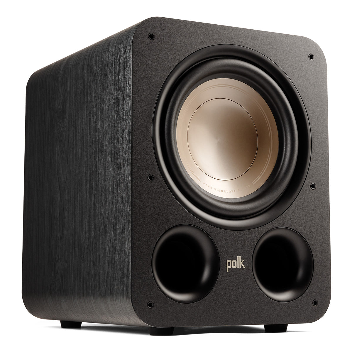 Polk Audio ES10 10