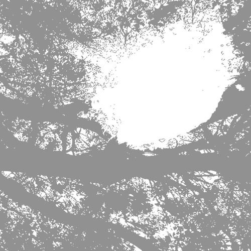 Field Recordings from the Sun - Vinyl LP