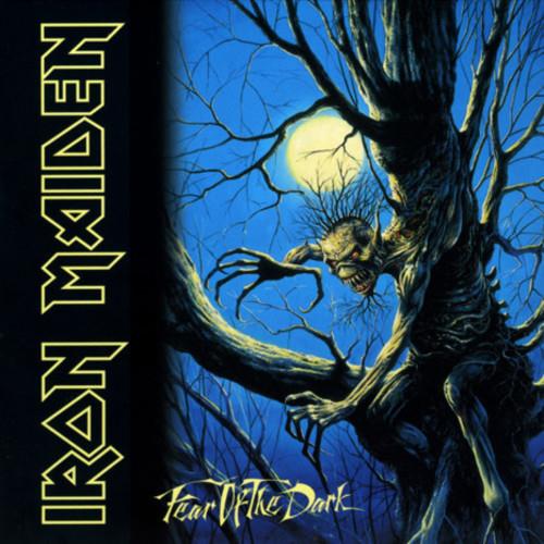 Fear Of The Dark - Vinyl LP 180 Gram