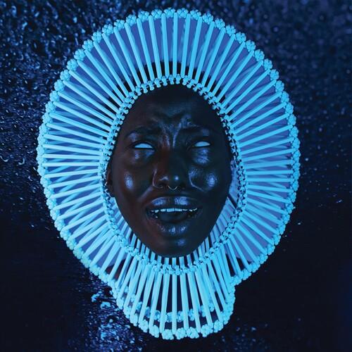 Awaken My Love - Vinyl LP