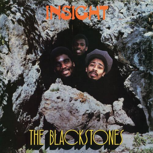 Insight - Vinyl LP