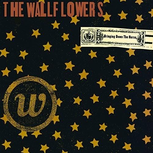 Bringing Down The Horse - Vinyl LP