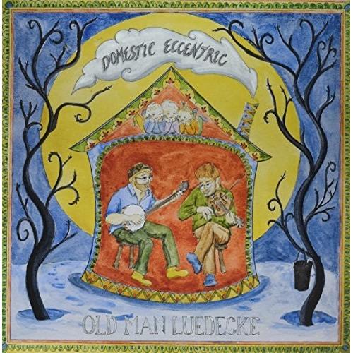Domestic Eccentric - Vinyl LP