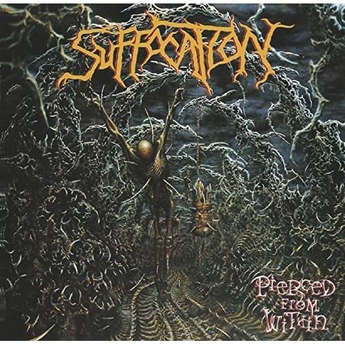 Pierced From Within - Vinyl LP