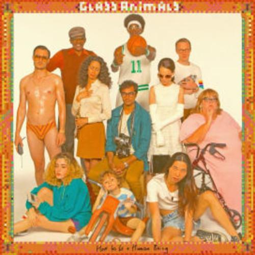 How To Be A Human Being - Vinyl LP