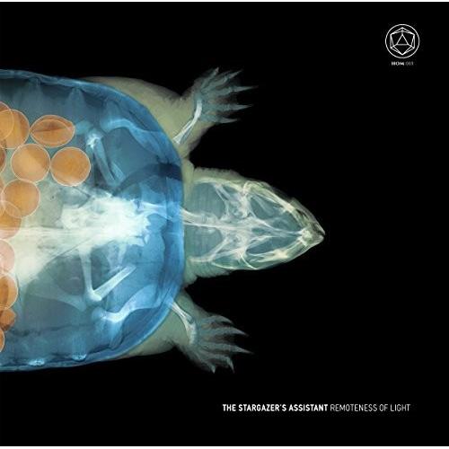 Remoteness Of Light - Vinyl LP