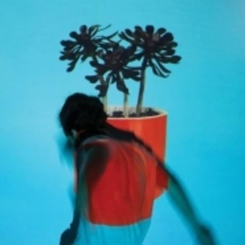 Sunlit Youth - Vinyl LP