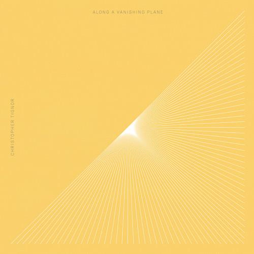 Along a Vanishing Plane - Vinyl LP